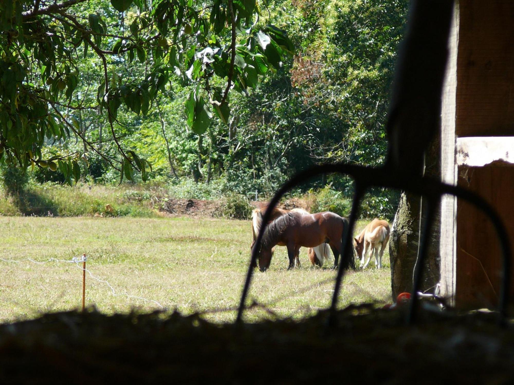 La Ferme De Kerhors Hotell Tréméoc Exteriör bild